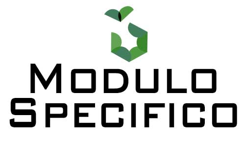 Modulo Specifico